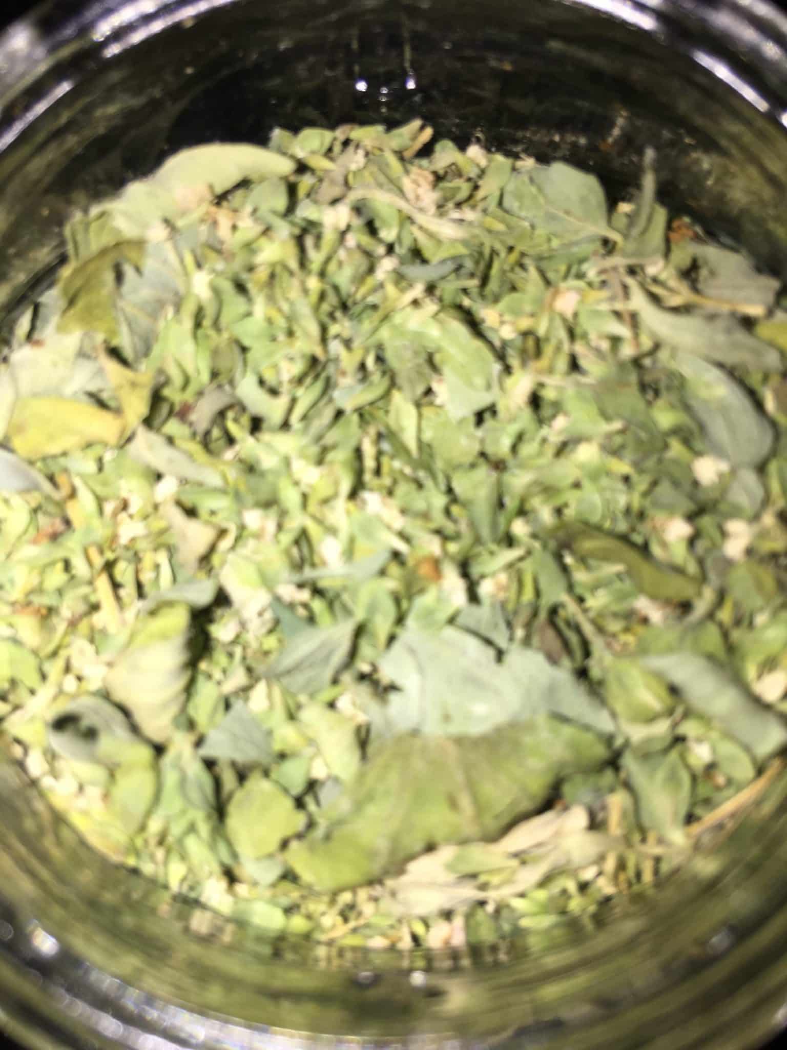 Oregano Harvest