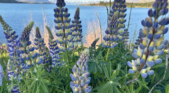 Making a Mystery Quilt